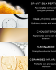 Power Up Silk Concentrate